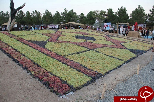 تصاویر/ جشنواره انگور در ارومیه