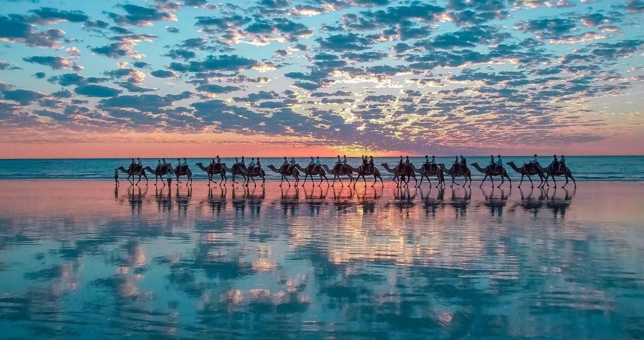 عکس / کاروان شتر!