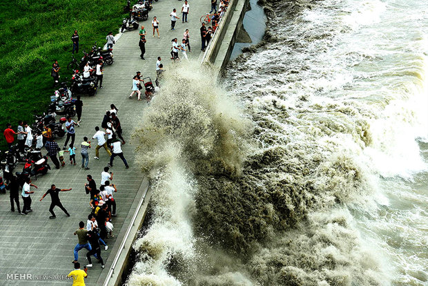 عکس/امواج بزرگ رودخانه در چین