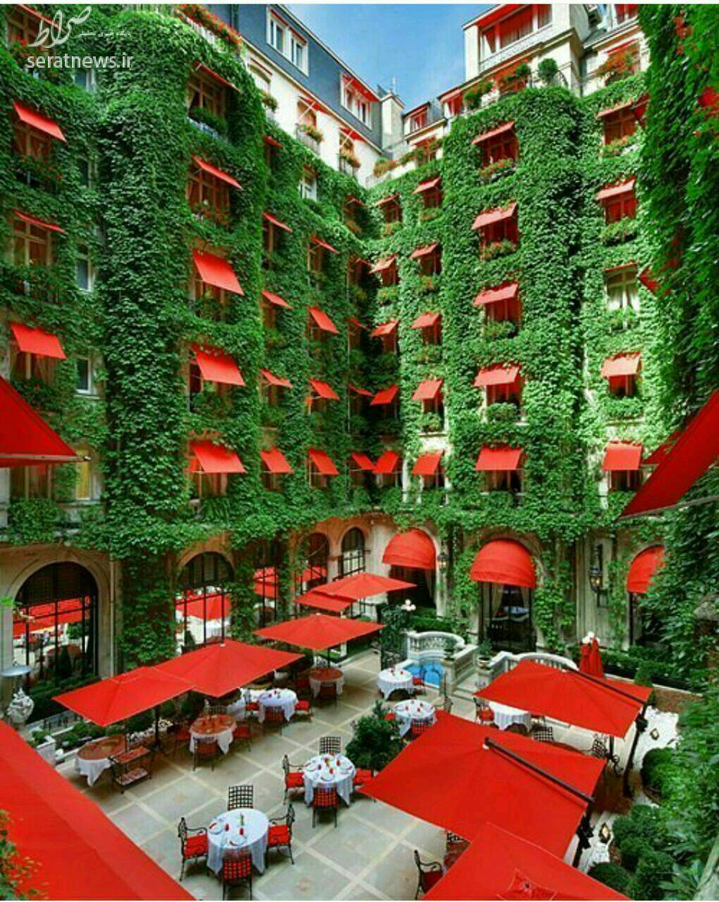عکس/هتل سبز در فرانسه