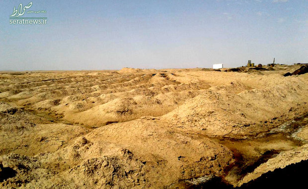 قتلگاه شبانه پرندگان و حیوانات +تصاویر