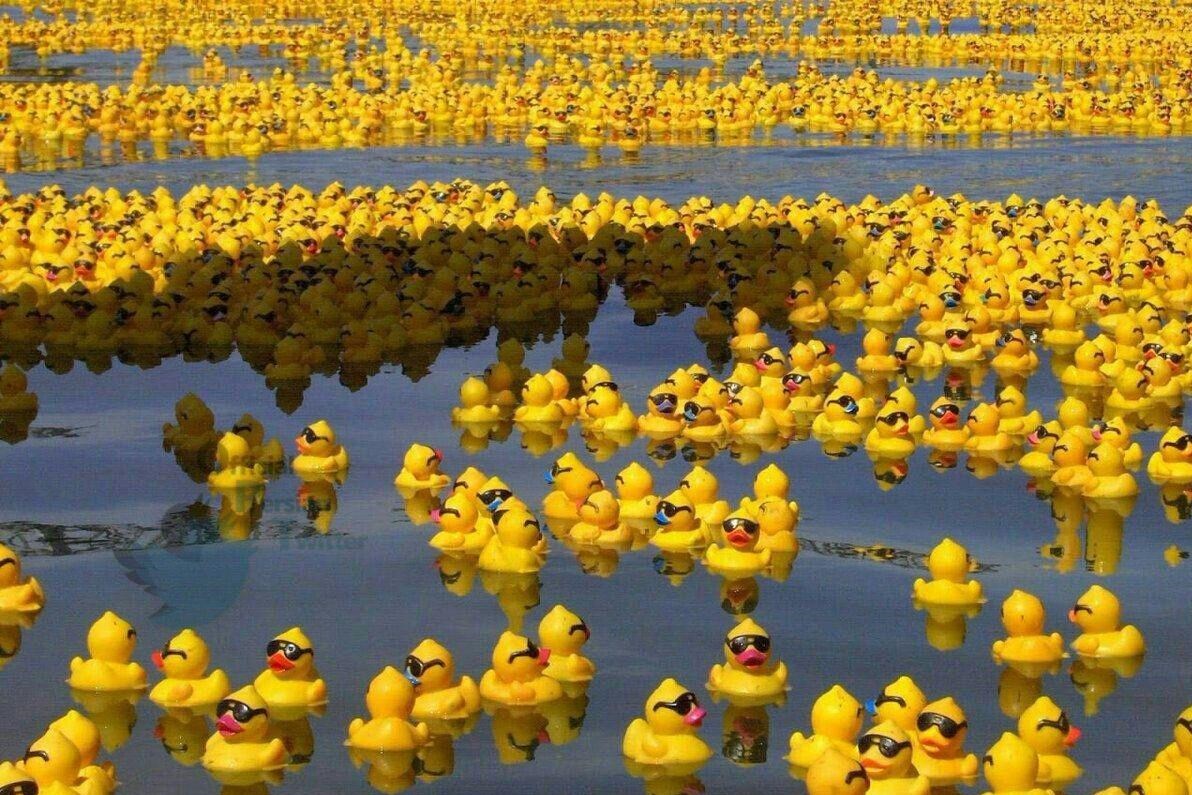 تصویری جالب و بامزه از واژگونی یک کشتی