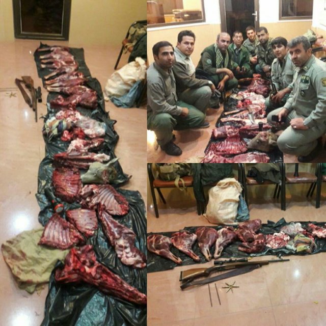 دستگیری شکارچیان مختلف در گلستان+عکس