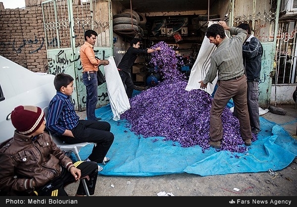 نگهداری زعفران در پنچرگیری! +عکس