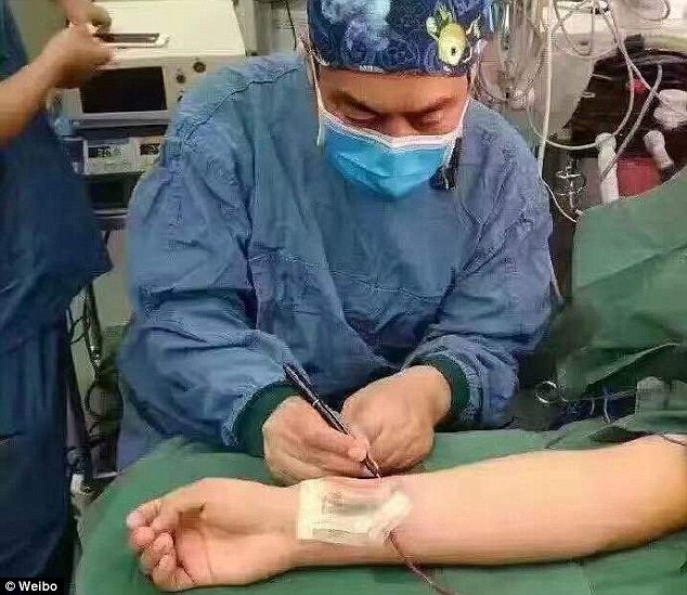 پرورش گوش از دست رفته روی ساعد+تصاویر پرورش گوش از دست رفته روی ساعد+تصاویر