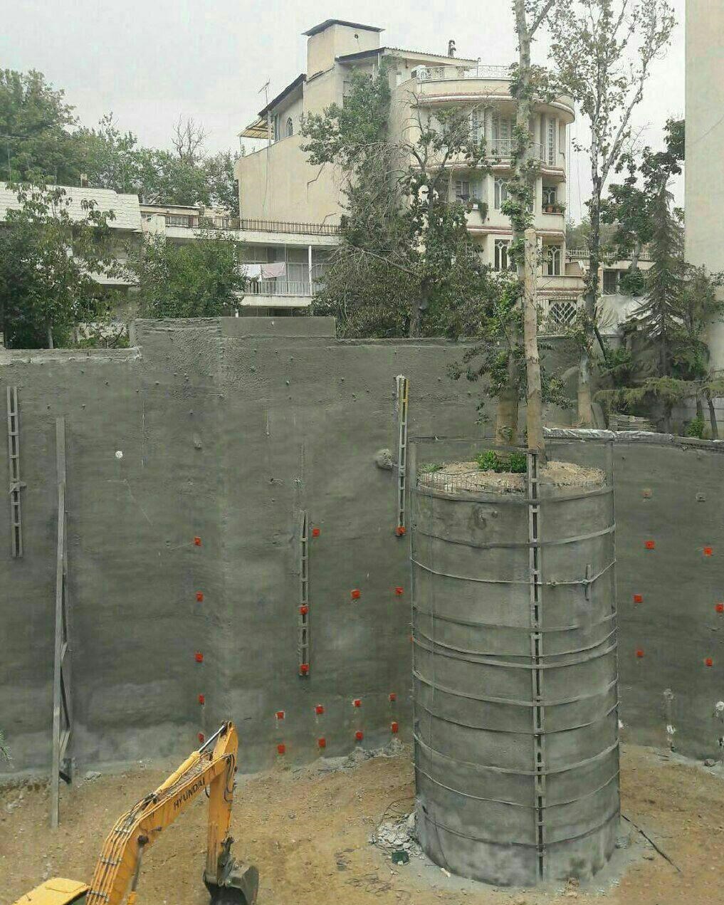 نهایت احترام به یک درخت هنگام گودبرداری در مشهد نهایت احترام به یک درخت هنگام گودبرداری در مشهد