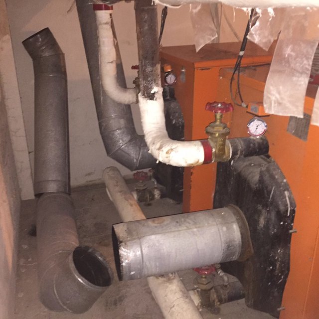 گازگرفتگی ۱۵ نفر در خیابان یخچال +عکس