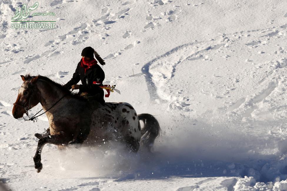 عکس/اسب سواری در برف