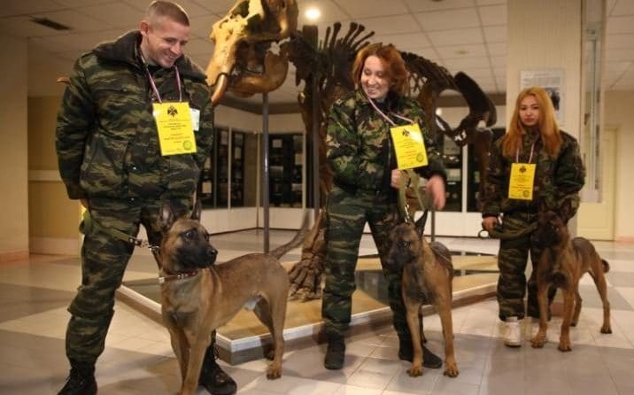 سگ‌های ۸۰ هزار یورویی در روسیه +تصاویر