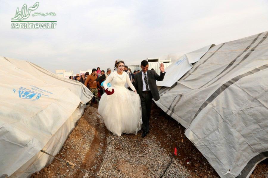 عکس/ عروسی بین آوارگان موصل