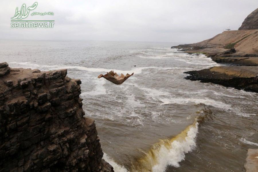 عکس/ راهب پرنده