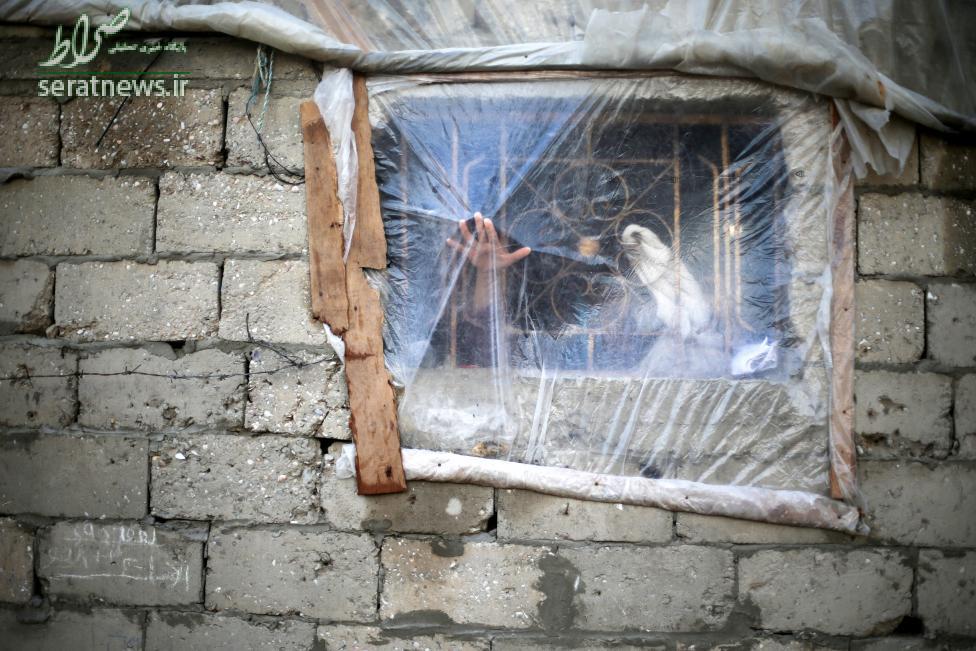 عکس/پوشش پنجره خانه زن فلسطینی