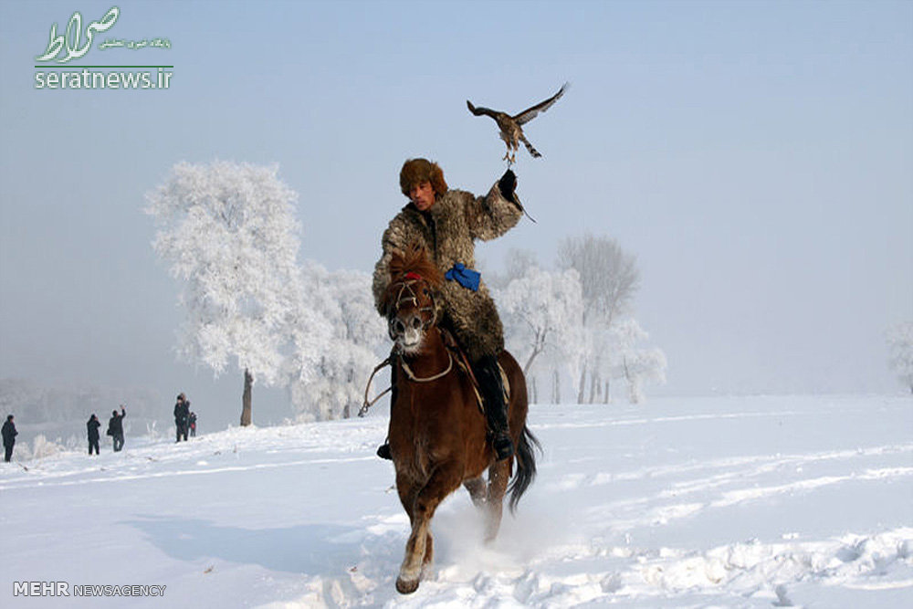 عکس/آموزش عقاب شکاری توسط شکارچی چینی