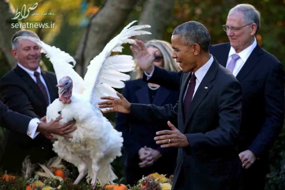 عکس/ژست اوباما در کنار بوقلمون شکرگزاری