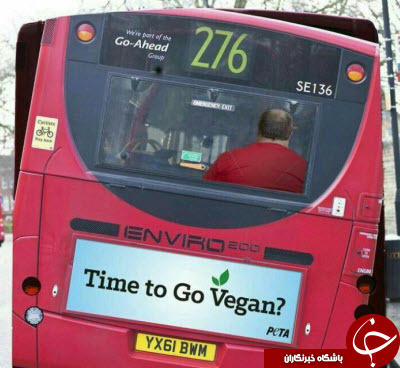 عکس/ تبلیغی خلاقانه پشت اتوبوس عکس/ تبلیغی خلاقانه پشت اتوبوس