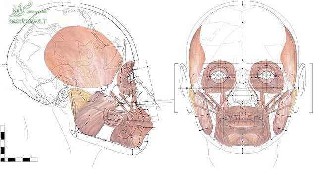 بازسازی چهره یک زن پس از ۱۳۶۰۰ سال! +تصاویر