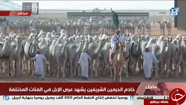 سان دیدن پادشاه عربستان در جشنواره شتر +تصاویر سان دیدن پادشاه عربستان در جشنواره شتر +تصاویر