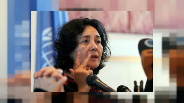 یک زن رئیس پرهزینهترین هیئت سازمان ملل شد+عکس یک زن رئیس پرهزینهترین هیئت سازمان ملل شد+عکس