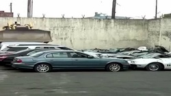 فیلم/ آپشن های عجیب و غریبBMW 7