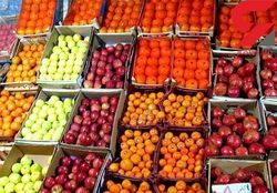 نرخ انواع میوه و سبزی در تهران + جدول