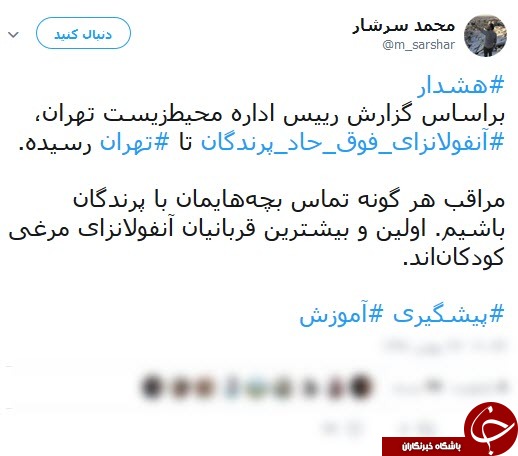 آنفلوانزای حاد پرندگان در کمین کودکان!