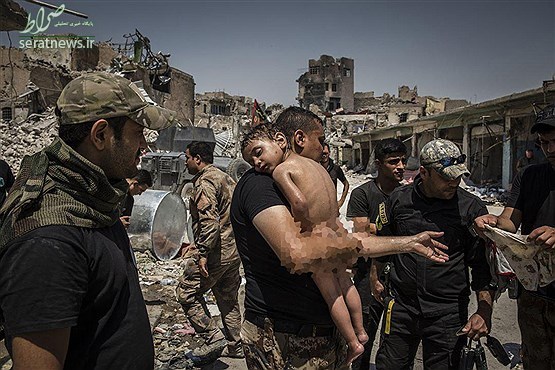 6 عکس برتر جهان به انتخاب «وردپرس» در سال 2017