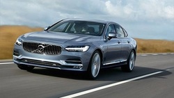 فیلم/واکنش دیرین دیرین به حوادث تلخ سال 96