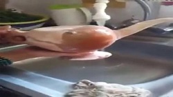 فیلم/کنایه مهران مدیری به مناظرات ریاست جمهوری!