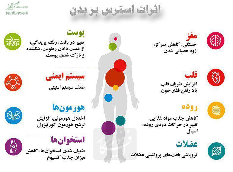 اثرات شدید استرس بر بدن/ اینفوگرافیک