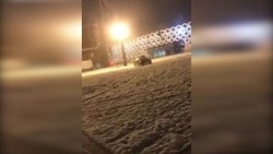 فیلم/ آپشن های عجیب و غریبBMW 7