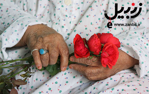 هدیه زنبیل به مهربان ترین مادران دنیا !