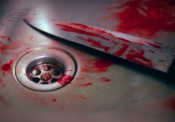 قتل برادر با ۷ ضربه چاقو در خانه ویلایی قلهک