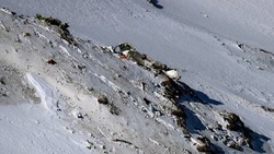 تصاویر/حضور خانواده های جانباختگان حادثه سقوط هواپیما