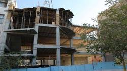 فیلم/ کار عجیب زمین خواران برای خشک کردن درختان!!