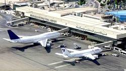 فیلم/ کار عجیب زمین خواران برای خشک کردن درختان!!