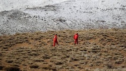 فیلم/ خودکشی نافرجام یک دختر در سبزوار