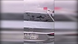 فیلم/واکنش دیرین دیرین به حوادث تلخ سال 96