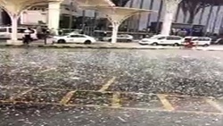 فیلم/جزئیات شهادت حدادیان در حادثه خیابان پاسداران