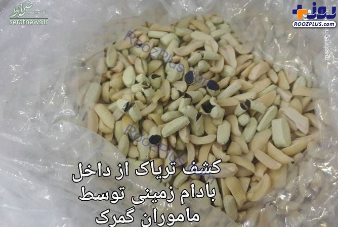 تصویر/ کشف تریاک در بادام زمینی
