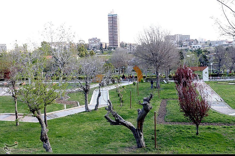 اراده زندگی در دشمق؛ قوی‌تر از تروریسم + تصاویر