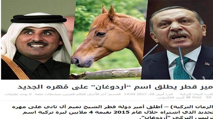 امیر قطر اسم اسب جدید خود را «اردوغان» گذاشت +عکس امیر قطر اسم اسب جدید خود را «اردوغان» گذاشت +عکس