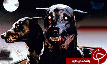 فتوای عجیب مُبلغ سلفی وهابی +عکس فتوای عجیب مُبلغ سلفی وهابی +عکس