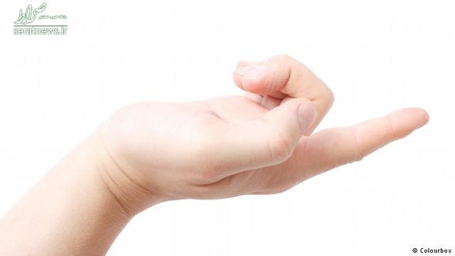 کتاب‌های رکورددار جهان کدام‌اند؟ +تصاویر