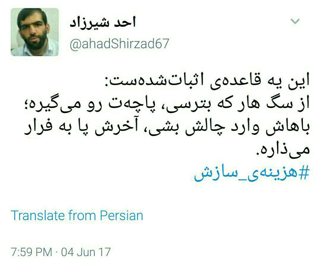 هزینه سازش با سگ هار