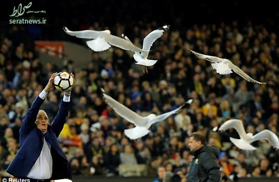 عکس/ میهمانان ناخوانده دیدار استرالیا - برزیل