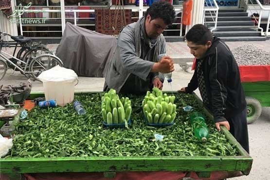 عکس/ شغل عجیب دست فروشان کابلی