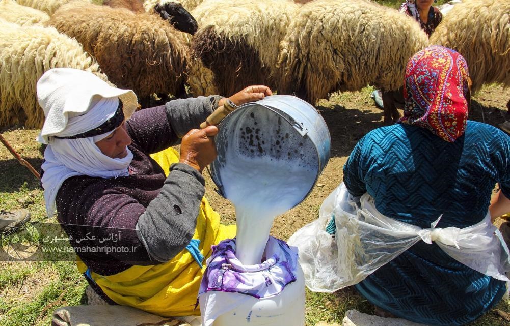 تصاویر/ از ماهی‌گیری در 