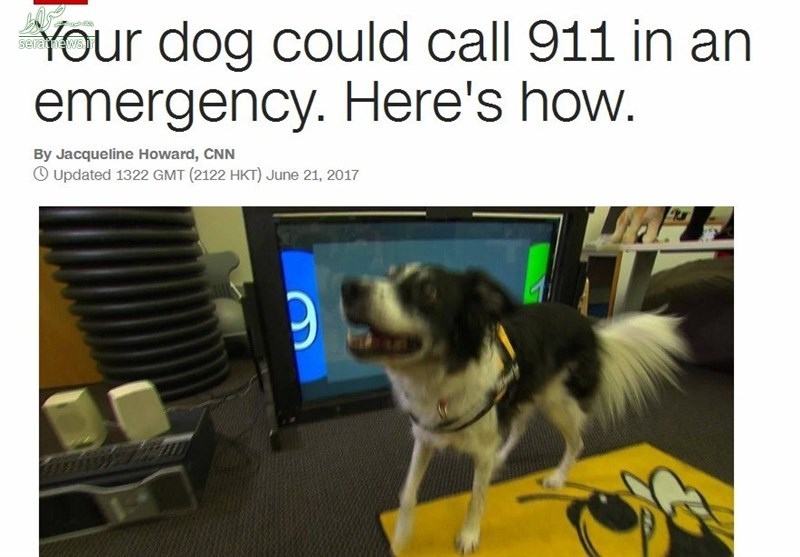 وقتی سگ‌ها با اورژانس تماس می‌گیرند +عکس