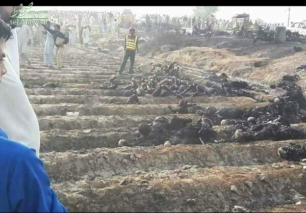 واژگونی تانکر حامل سوخت در پاکستان با ۱۲۰ کشته +تصاویر واژگونی تانکر حامل سوخت در پاکستان با ۱۲۰ کشته +تصاویر