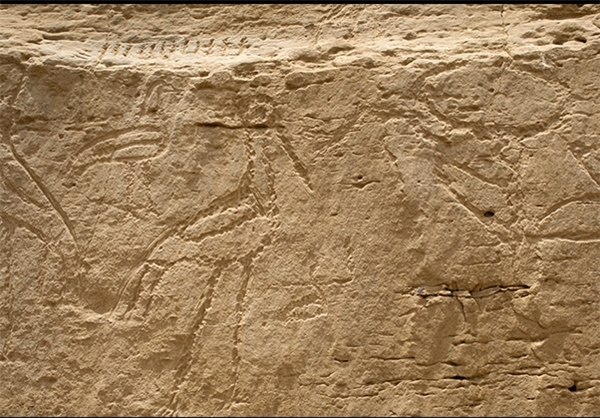 کشف قدیمی‌‎ترین سنگ‌نوشته‌های هیروگلیف مصر +تصاویر